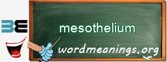 WordMeaning blackboard for mesothelium